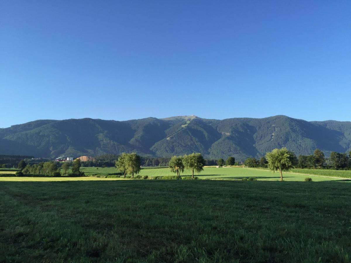 Appartement Schoenhuberhof - Panoramalage à Brunico Extérieur photo